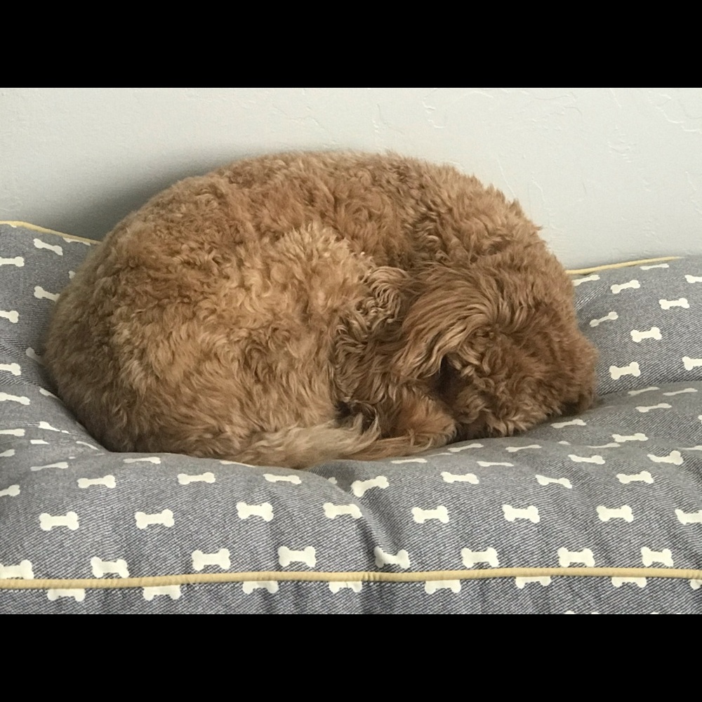 Meet your Posher, Beth